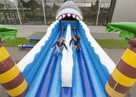 Kids Dual Lanes Inflatable Bungee Run 2 Lane Blow Up Bounce House