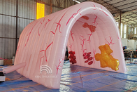 Custom Giant  Inflatable Lungs Medical Event Theme Advertising Human Organ Large Colon Tube Model