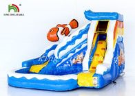 Clownfish Inflatable Water Slide With Swimming Pool By Durable PVC Tarpaulin