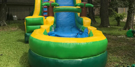 Tarpaulin Inflatable Pvc Palm Tree Screamer Water Slide