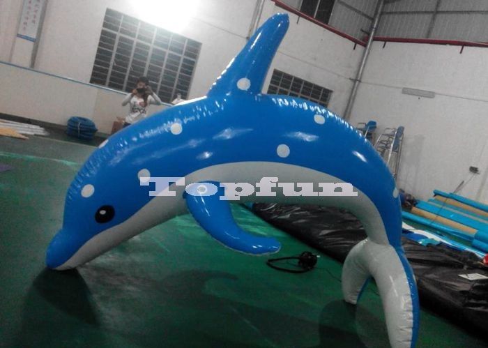 inflatable dolphin
