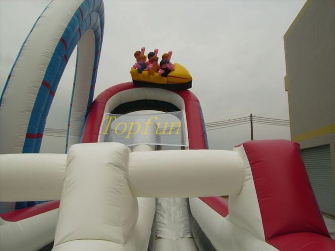 roller coaster slide toy