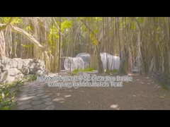 Inflatable Bubble House Hotel Tent