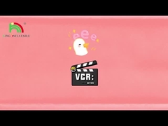 Inflatable Water Slide king25