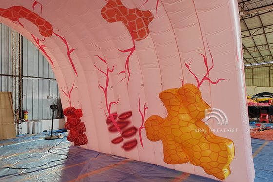 Custom Giant  Inflatable Lungs Medical Event Theme Advertising Human Organ Large Colon Tube Model