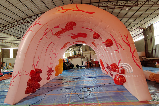 Custom Giant  Inflatable Lungs Medical Event Theme Advertising Human Organ Large Colon Tube Model