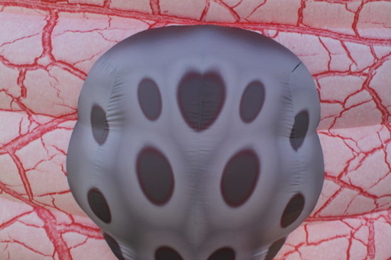 Giant Inflatable Lung Model Advertising For Medical Exhibition Events