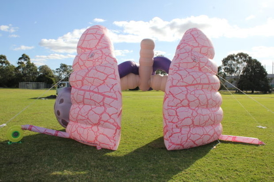 Giant Inflatable Lung Model Advertising For Medical Exhibition Events