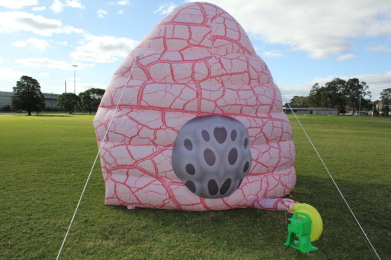 Giant Inflatable Lung Model Advertising For Medical Exhibition Events