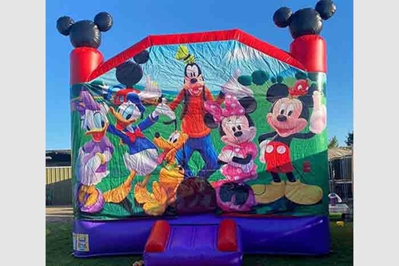 Inflatable Bouncer House Outdoor Party Child Bouncy Castle Inflatable Bounce House