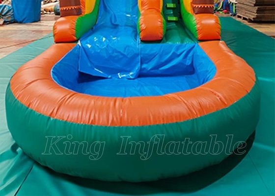 Kids Outdoor Yard Water Slides Tropical Jungles Inflatable Water Slide With Pool