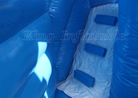 Frozen Giant Inflatable Castles Fun Game Obstacles Climb Areas Slides Jumping Castle