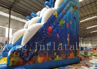 Children / Adult Blue Inflatable Water Slide With Two Lane 1 Year Warranty