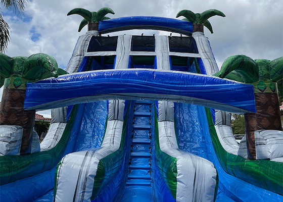 Big Kid Inflatable Water Slides Outdoor Game PVC Giant Double Water Slide Inflatable