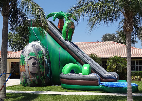 Inflatable Double Water Slide Adults Commercial Backyard Inflatable Water Slide Rentals