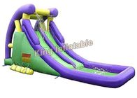 Plato 0.55 Mm PVC Tarpaulin Adults / Kids Outdoor Water Slide With Pool