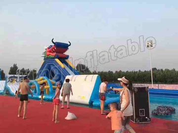 2 Years Warranty Animal Inflatable Water Parks With Frame Pool / Cartoon Slide