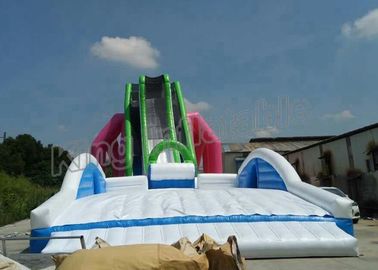 Custom Exciting Flying Water Slide Inflatable PVC With Blower