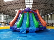 Inflatable Water Slide Swimming Ball Toys Pools Inflatable Water Park With Pool