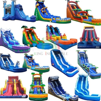 Customized Inflatable Slides Inflatable Water Slide wet Dry Slide With Swimming Pool