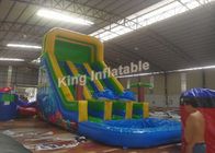 Eye Catching Green Double Lane Inflatable Water Slide With Swimming Pool