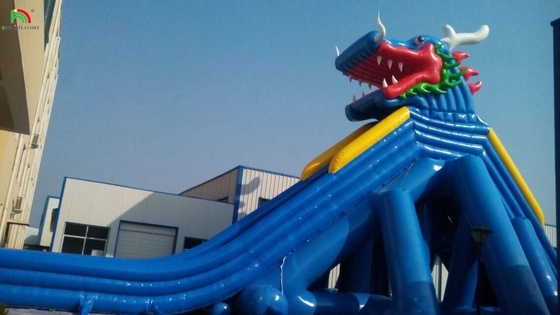 Water Park Slides Funny Aqua Park Water Games New Design Aquatic Play Equipment Inflatable Long Water Slide