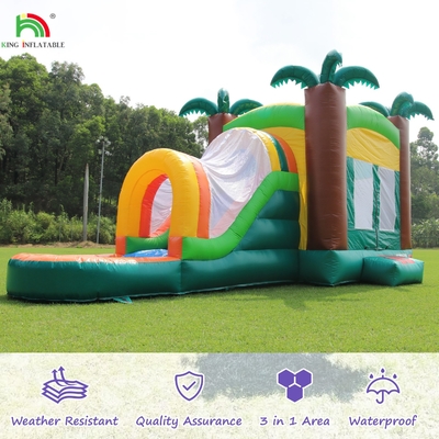High Quality Inflatable Bouncer Combo Jumping Castle With Pool & Inflatable Water Slide