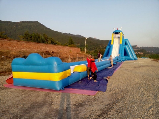 Outdoor Commercial Giant Inflatable Slide, Inflatable Water Slide For Sale