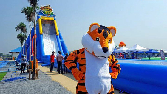 Joyful Fun Factory Price Inflatable Long Water Slide for Adults Large Inflatable Slide