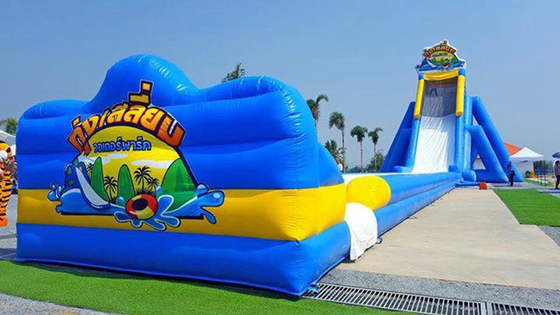 Joyful Fun Factory Price Inflatable Long Water Slide for Adults Large Inflatable Slide