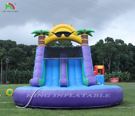 Double Lane Inflatable Water Slide Combo With Pool Obstacle To Climb Inflatable Pool Slides