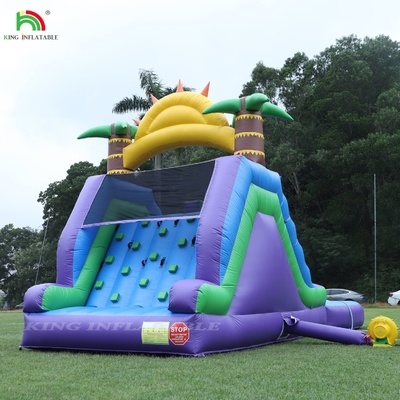 Double Lane Inflatable Water Slide Combo With Pool Obstacle To Climb Inflatable Pool Slides