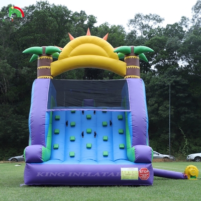Double Lane Inflatable Water Slide Combo With Pool Obstacle To Climb Inflatable Pool Slides