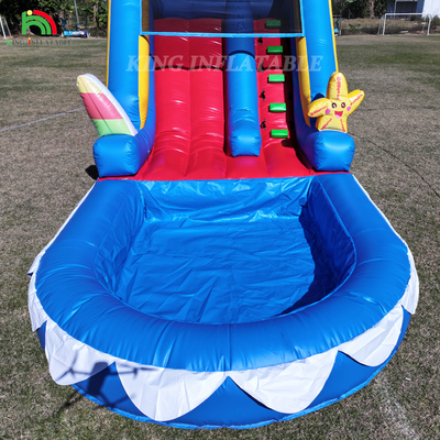 Waterslide Commercial PVC Inflatable Water Slide For Kid Inflatable Slide With Pool Wet Dry Slide Adult
