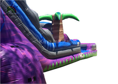 Dual Lane 0.6mm PVC Inflatable Water Slide With Pool 30ft Purple For Summer