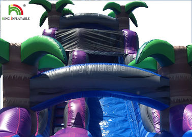 Dual Lane 0.6mm PVC Inflatable Water Slide With Pool 30ft Purple For Summer