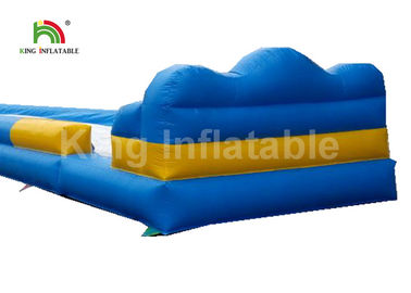 Dragon Stype Blue Large Inflatable Water Slide For Adults In Aquatic Park