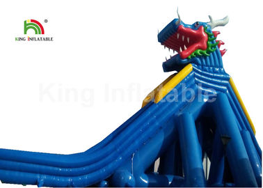 Dragon Stype Blue Large Inflatable Water Slide For Adults In Aquatic Park