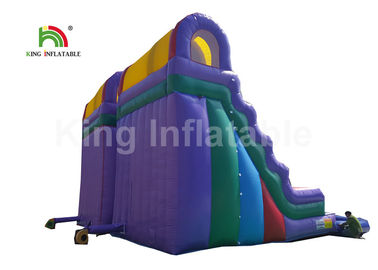 Plato PVC Double Inflatable Water Slide With Swimming Pool 1 Year Warranty