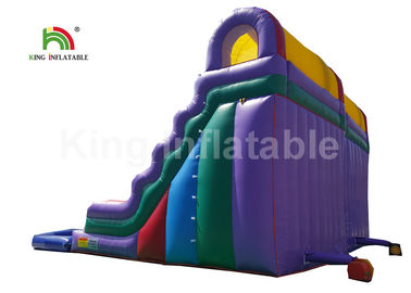 Plato PVC Double Inflatable Water Slide With Swimming Pool 1 Year Warranty