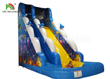 Puncture - Proof Ocean World Dolphin Inflatable Water Slide / Outdoor Inflatable Playground