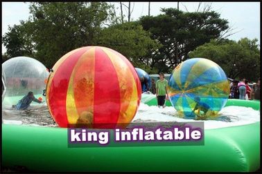 Colourful PVC Inflatable Water Ball/Water Ball With 2m Diameter For Amusement Park