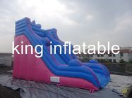 Outdoor Durable Inflatable Dry Slide With Simple But General For Amusement Park