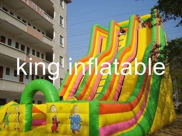 Giant Double Lane Inflatable Dry Slide Colorful Cartoon Printing For Amusement Park