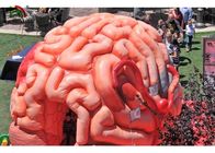 Giant 4m  Inflatable Brain Replica Artificial Organs For Educational SGS EN71