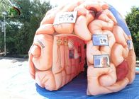 Giant 4m  Inflatable Brain Replica Artificial Organs For Educational SGS EN71