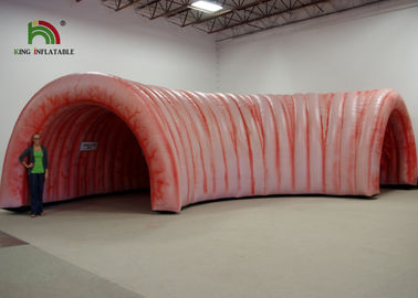 6m Huge Inflatable Colons Heart Tunnel Commercial Bounce Houses Flame Retardant