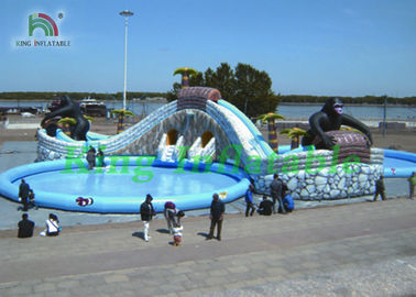 Huge Inflatable Water Parks With Cartoon Characters , Slides , Swimming Pools