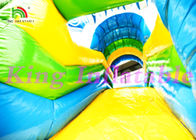 0.55mm PVC Tarpaulin Multiplay Inflatable Jumping Castle With Slide And Sea Animals