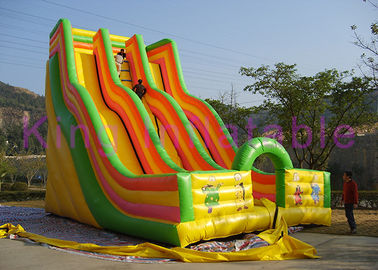 Giant Double Lane Inflatable Dry Slide Colorful Cartoon Printing For Amusement Park